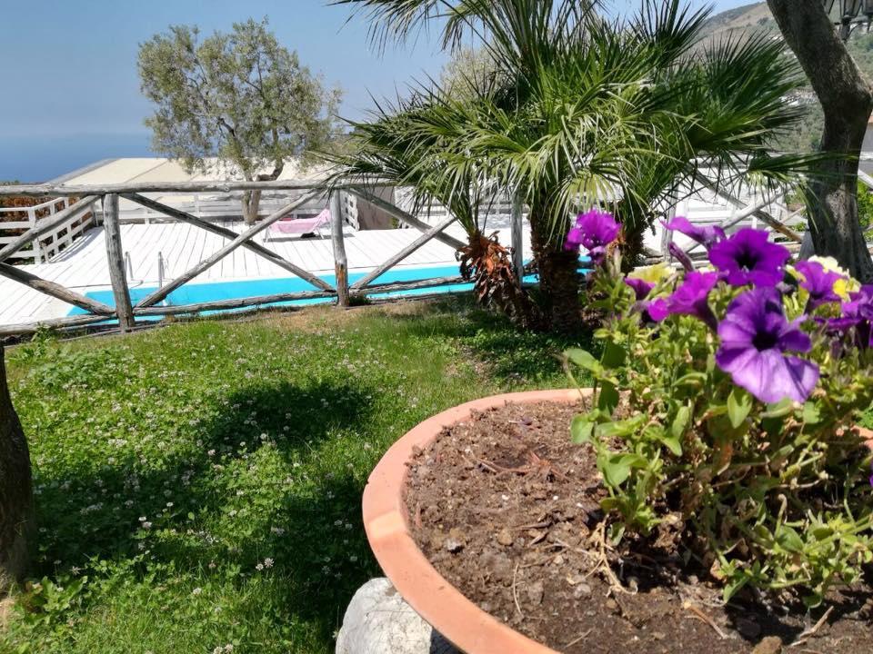 דירות ויקו אקוונסה Il Casale Del Golfo מראה חיצוני תמונה